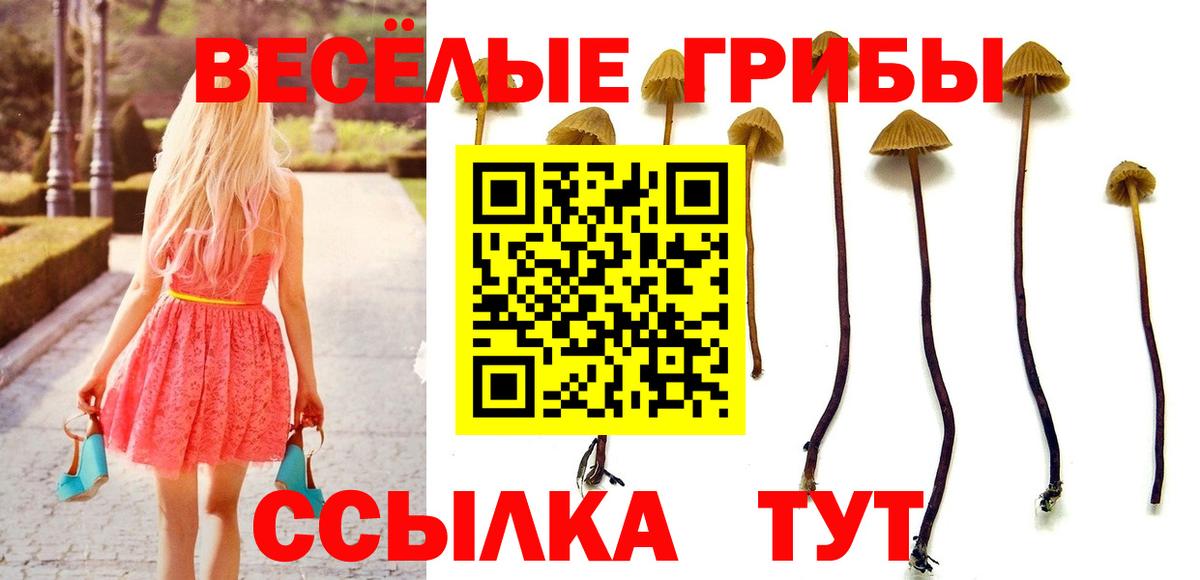 Ликино-Дулёво  Галлюциногенные грибы Cubensis  Вход с VPN 
